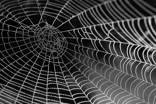 hébergeur web gratuit avec nom de domaine : comment trouver la meilleure offre en 2025 ?