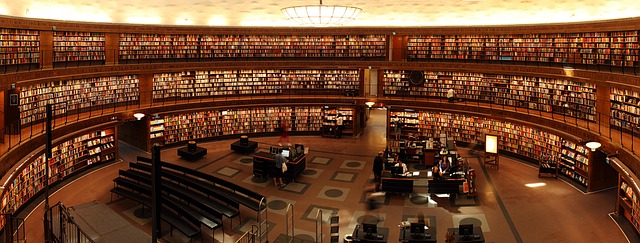 Pourquoi les études sont essentielles pour réussir en 2025