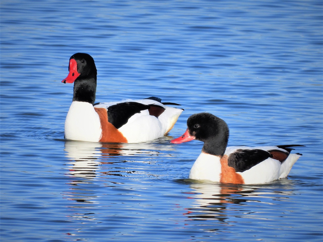 découvrez les erreurs courantes à éviter pour améliorer vos compétences et atteindre vos objectifs plus efficacement.